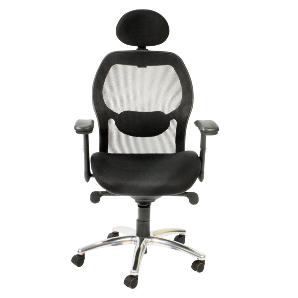 Symple Stuff Portland Ergonomic HighBack Mesh Executive Chair
